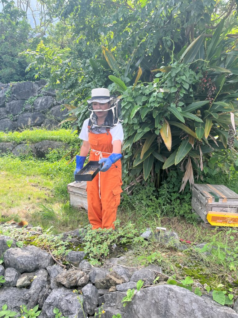 巣箱見学